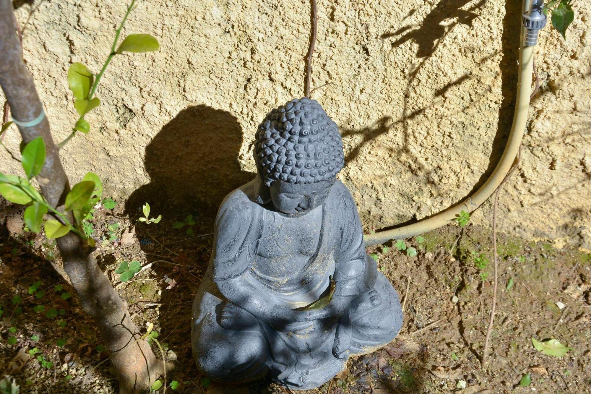 Corfu  Τhe Hidden Garden 아파트 외부 사진
