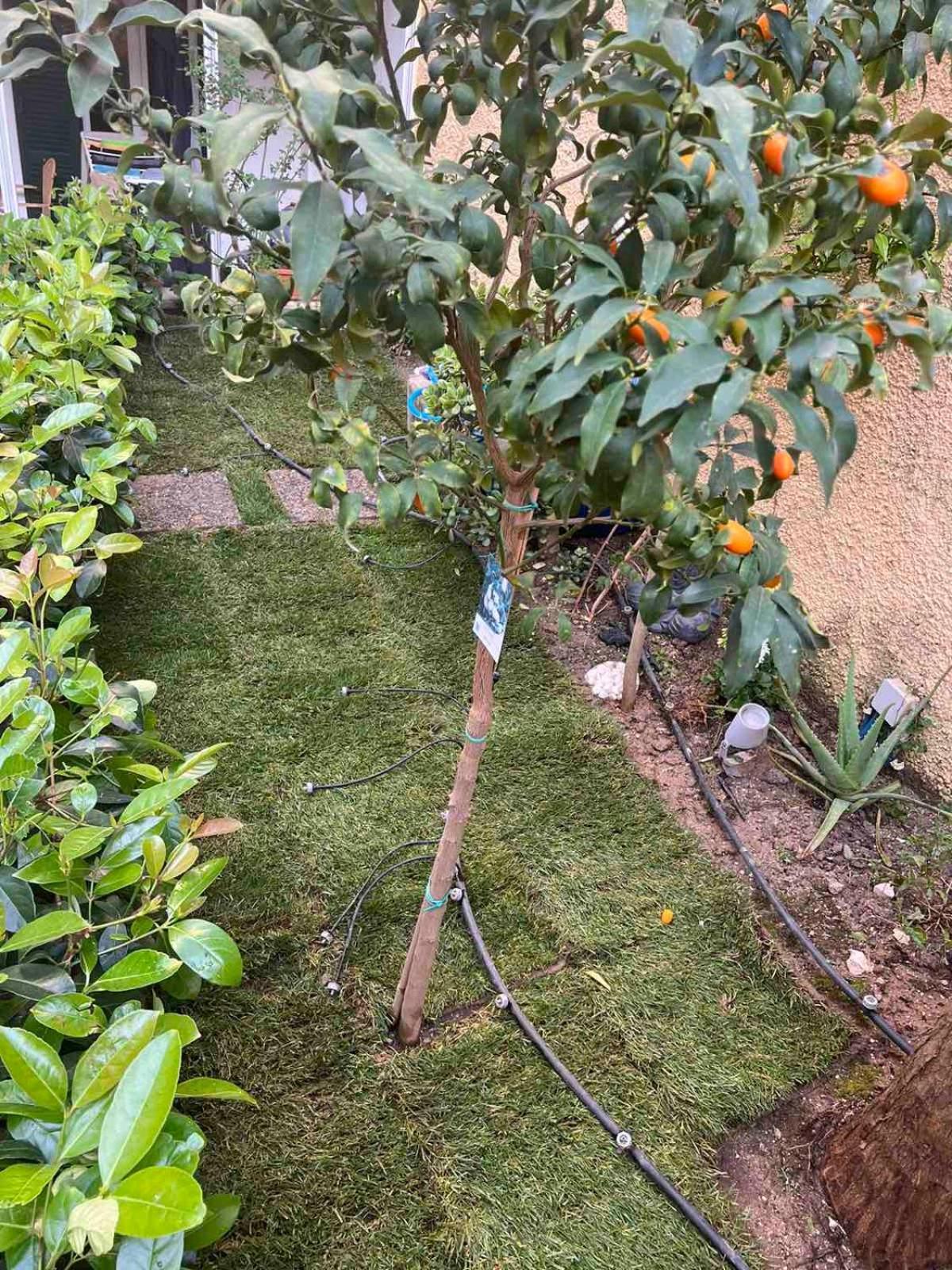 Corfu  Τhe Hidden Garden 아파트 외부 사진